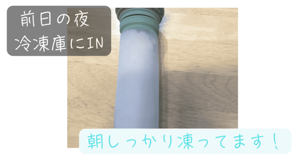前日の夜に冷凍庫に入れて朝しっかり凍ったピーコック氷のうABB-16